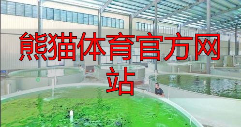 熊猫体育官方网站