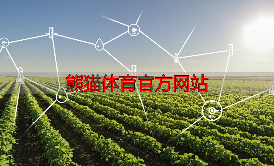 熊猫体育官方网站