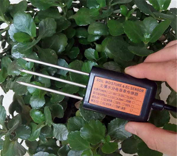 熊猫体育官方网站