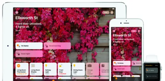 熊猫体育官方网站