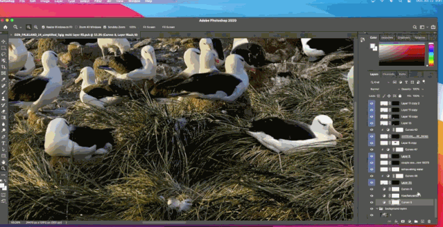 熊猫体育官方网站