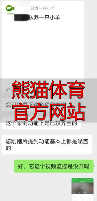 熊猫体育官方网站