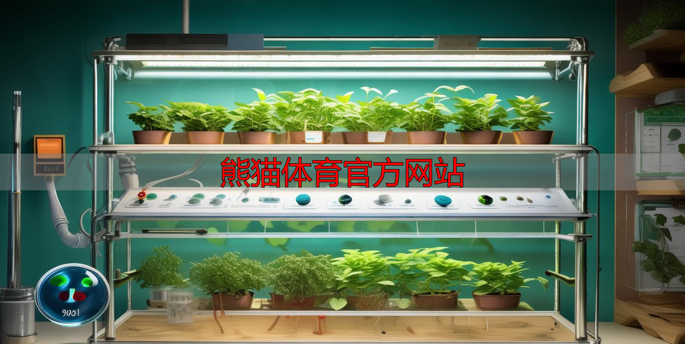 熊猫体育官方网站